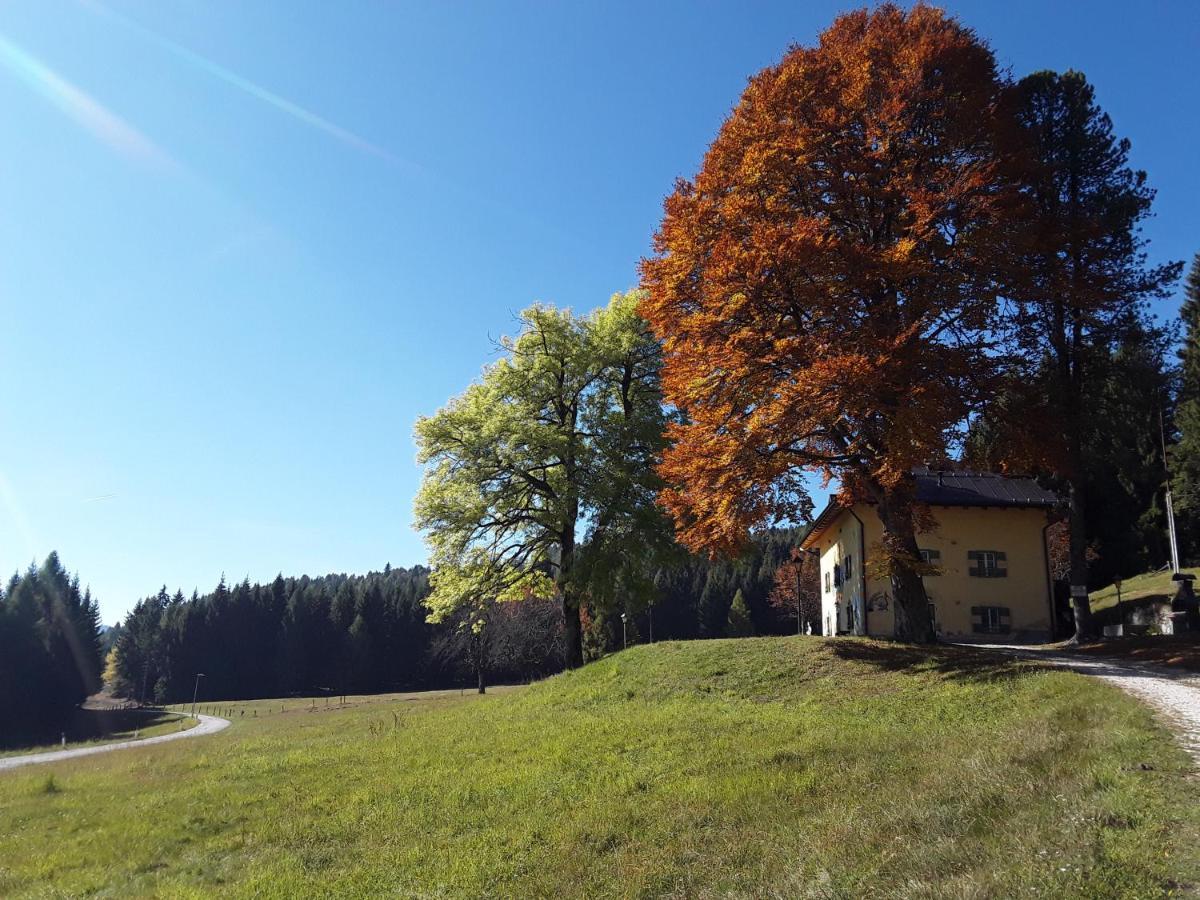 Апарт отель Chalet Musiera Castrozzi Экстерьер фото