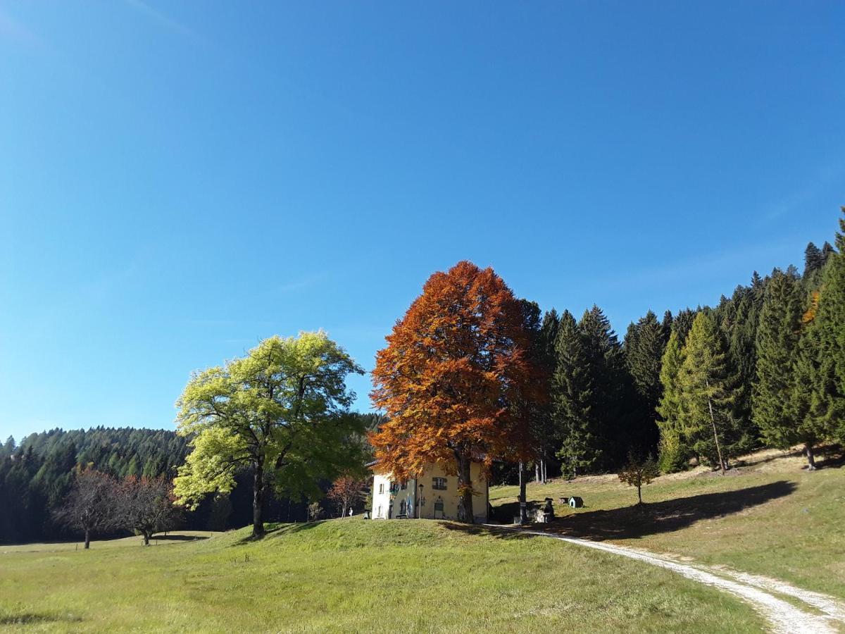 Апарт отель Chalet Musiera Castrozzi Экстерьер фото